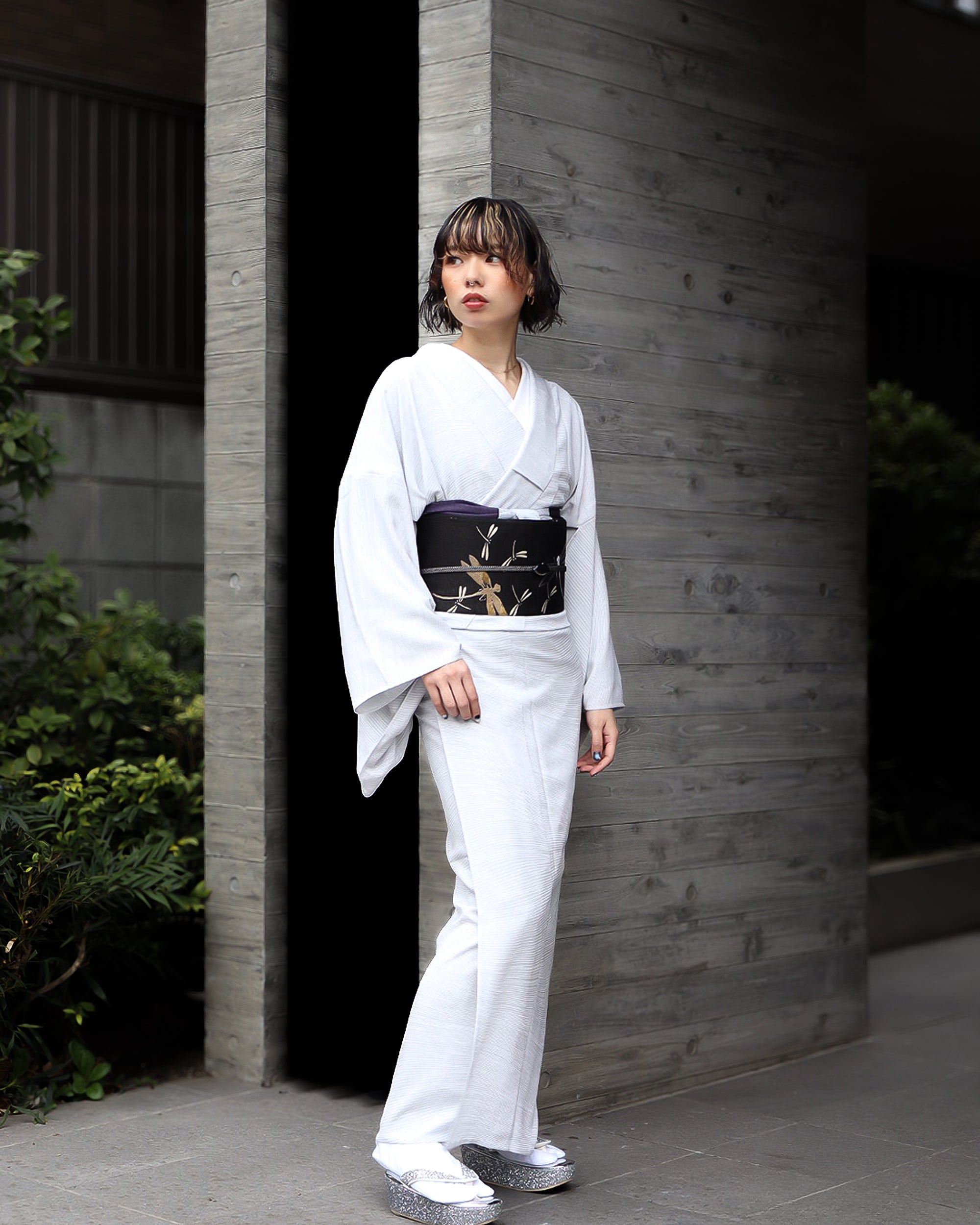 Modern pattern weaving (Wing): Antique | Nagoya obi