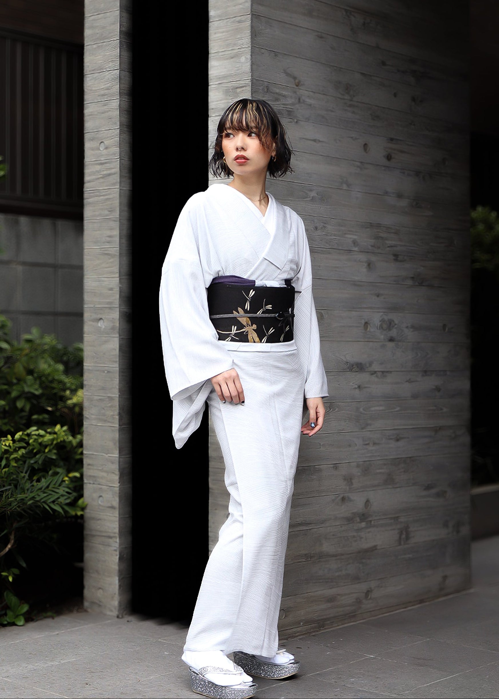 名古屋帯|蜻蛉 絽|Wing|アンティーク