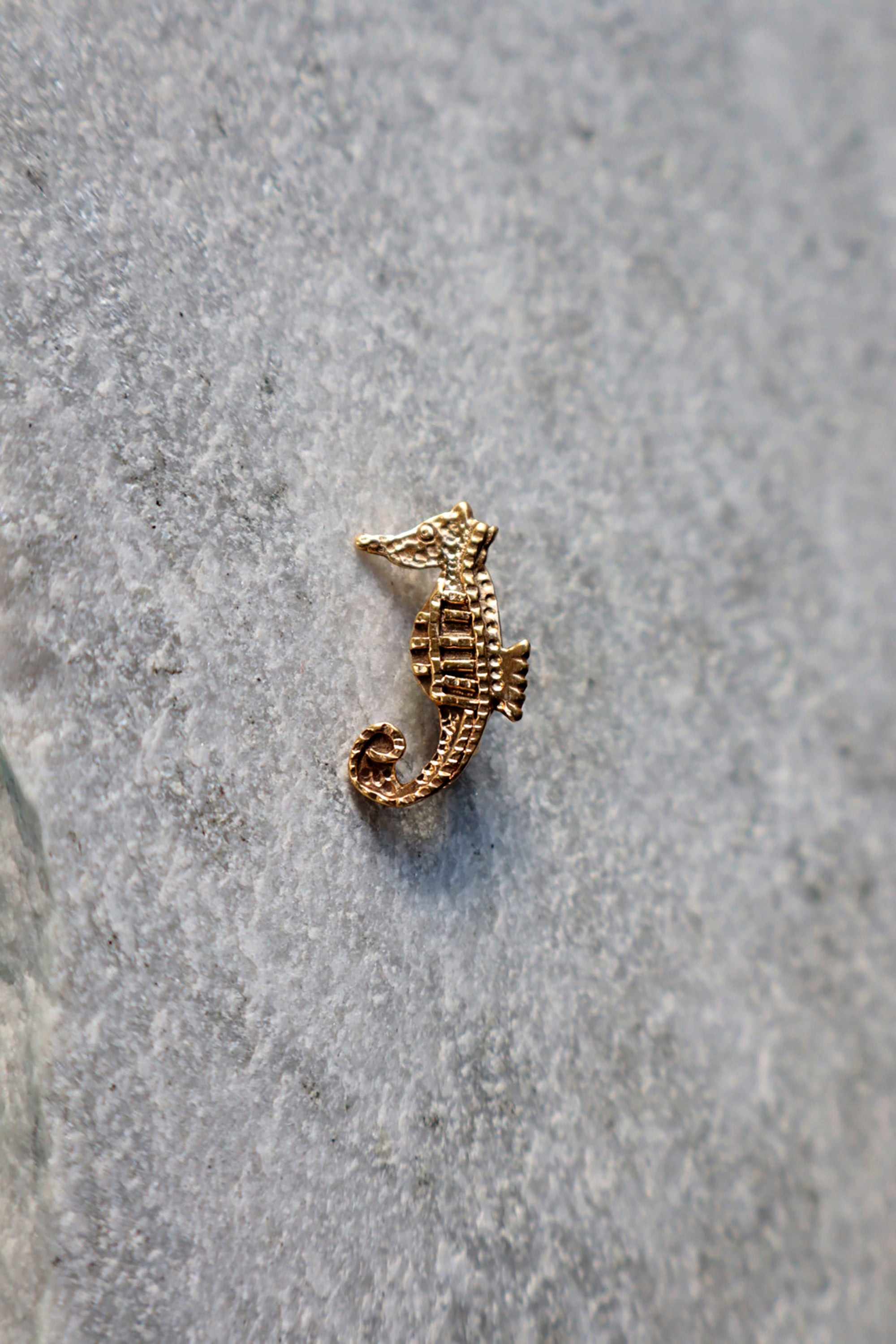 帯留め|タツノオトシゴ|ecoRAL