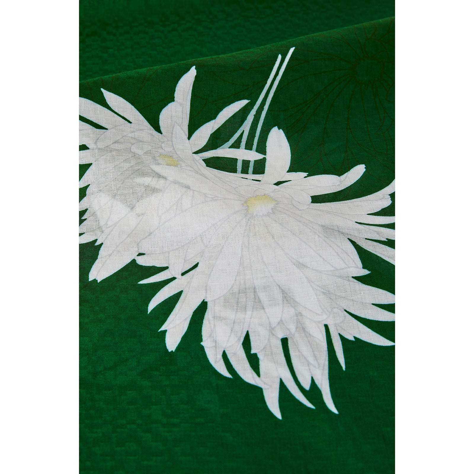 Moonlight Ranka Green KAPUKI special order fabric (Komutaya Genbei): Yukata