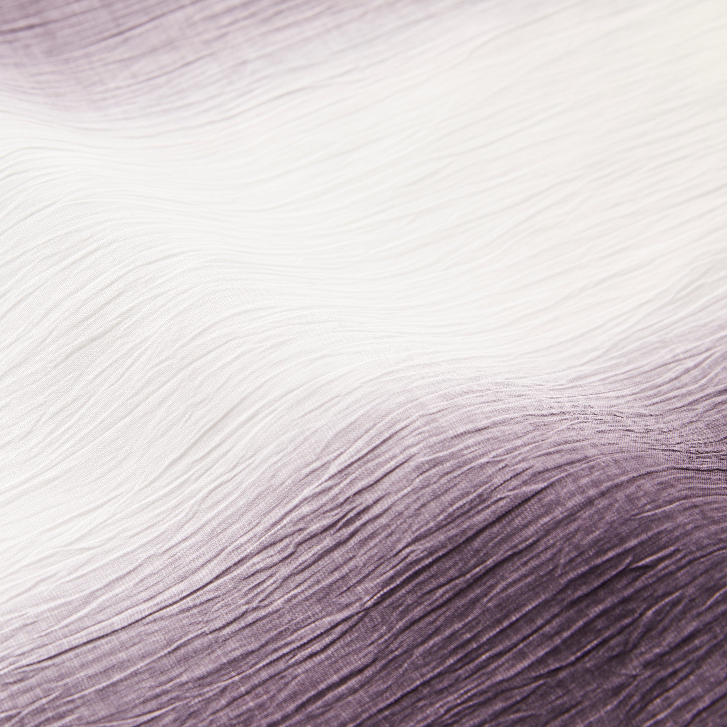 グラデーション近江縮 紫白紫（SLADKY）：単衣｜麻｜綿